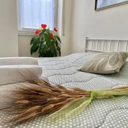 Apartment Holyday Pallanza *
