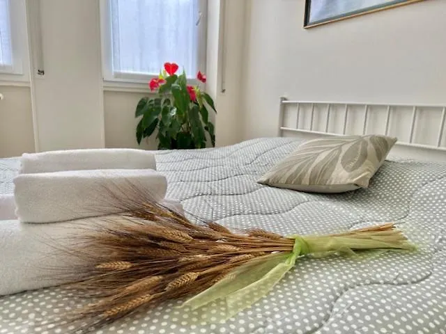 Διαμέρισμα Holyday Pallanza *